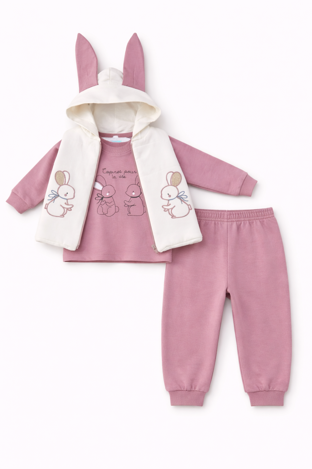 Gül Kurusu Tavşan Nakışlı Kulak Detaylı 3 Lü Takım ( 9-18-24 Ay )